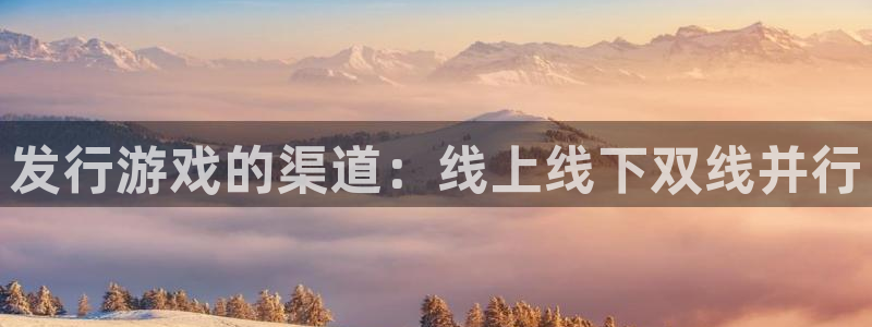 火狐电竞app官网红酒怎么样：发行游戏的渠道：线上线下双线并行