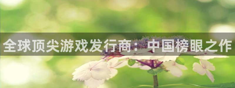 火狐电竞app官网子文化创意有限公司特邀玩家：全球顶尖游戏发行商：中国榜眼之作