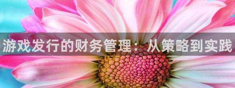 火狐电竞客服服务：游戏发行的财务管理：从策略到实践